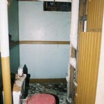 The basement toilet. Sue declined to use it -- and this was before we discoved marks on the seat made by rats trying to chew their way out.