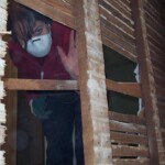 Here she is peeking through to the other unit. Never seen her happier.