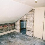 Eventually we tor up the floor to reveal urine soaked joists underneath that held the source of the stench.