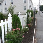 Another view of the front fence.